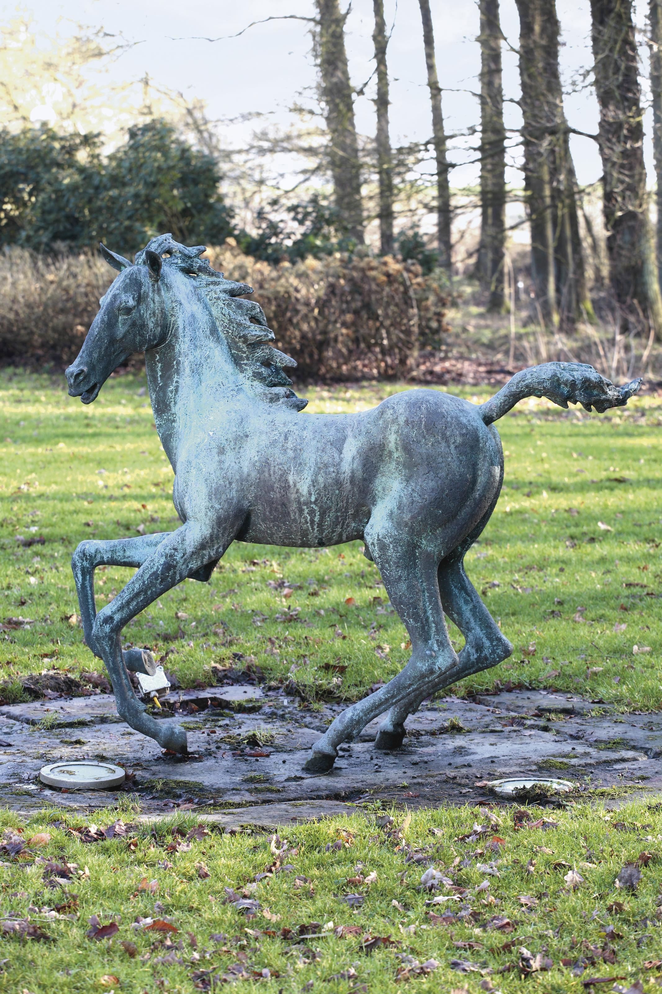 Pieter Starreveld - Foal