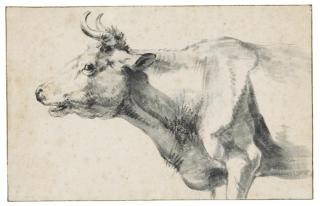 Pieter Van Bloemen, Called Standaart - A cow