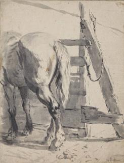 Pieter Van Bloemen - A horse seen from behind