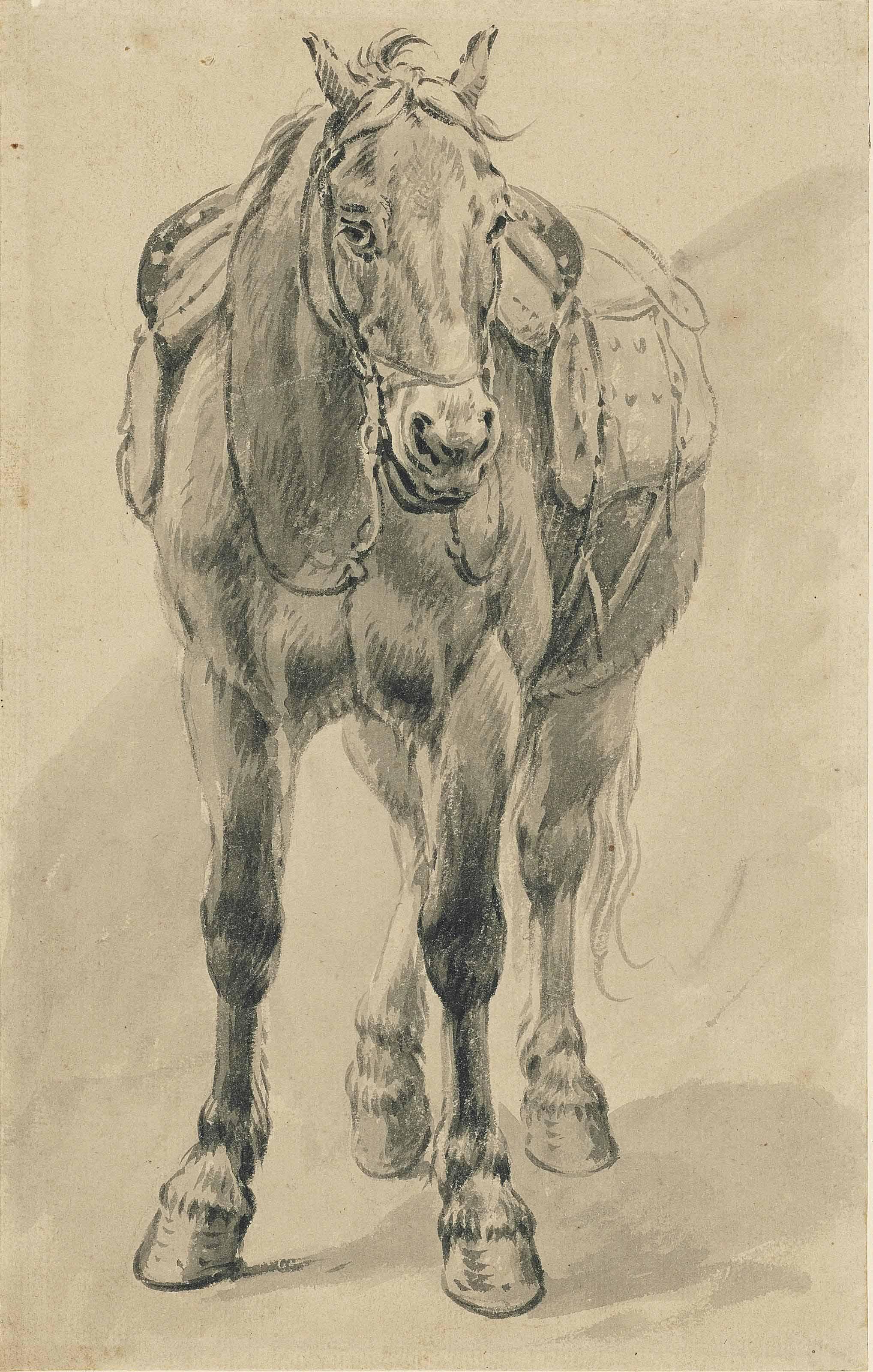 Pieter van Bloemen - A Saddled Horse (Recto); Sketches (Verso)