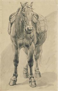 Pieter van Bloemen - A Saddled Horse (Recto); Sketches (Verso)
