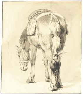 Pieter Van Bloemen - A Saddled Horse, Seen From The Back