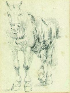 Pieter van Bloemen - A saddled horse