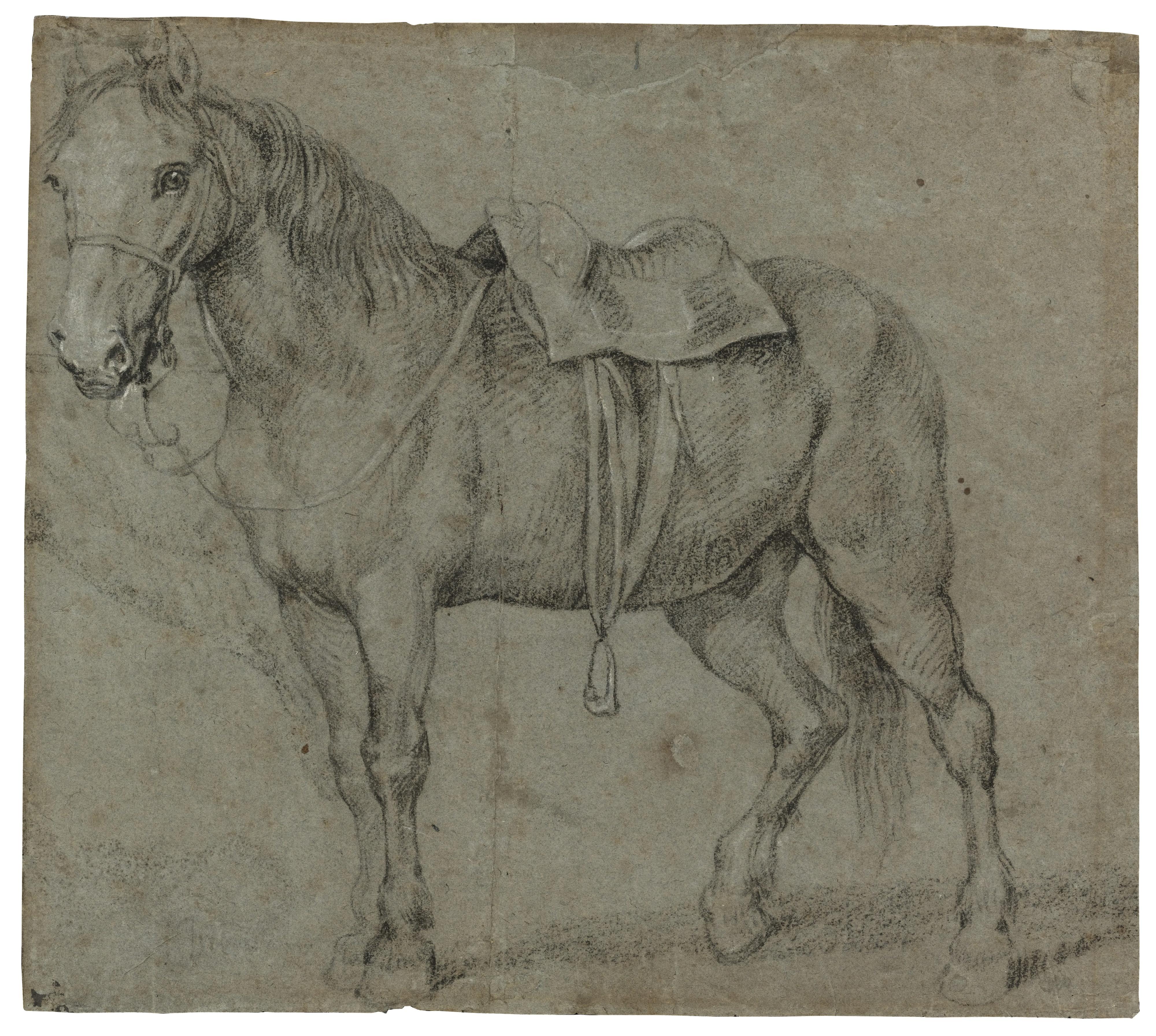 Pieter Van Bloemen - Study Of A Horse