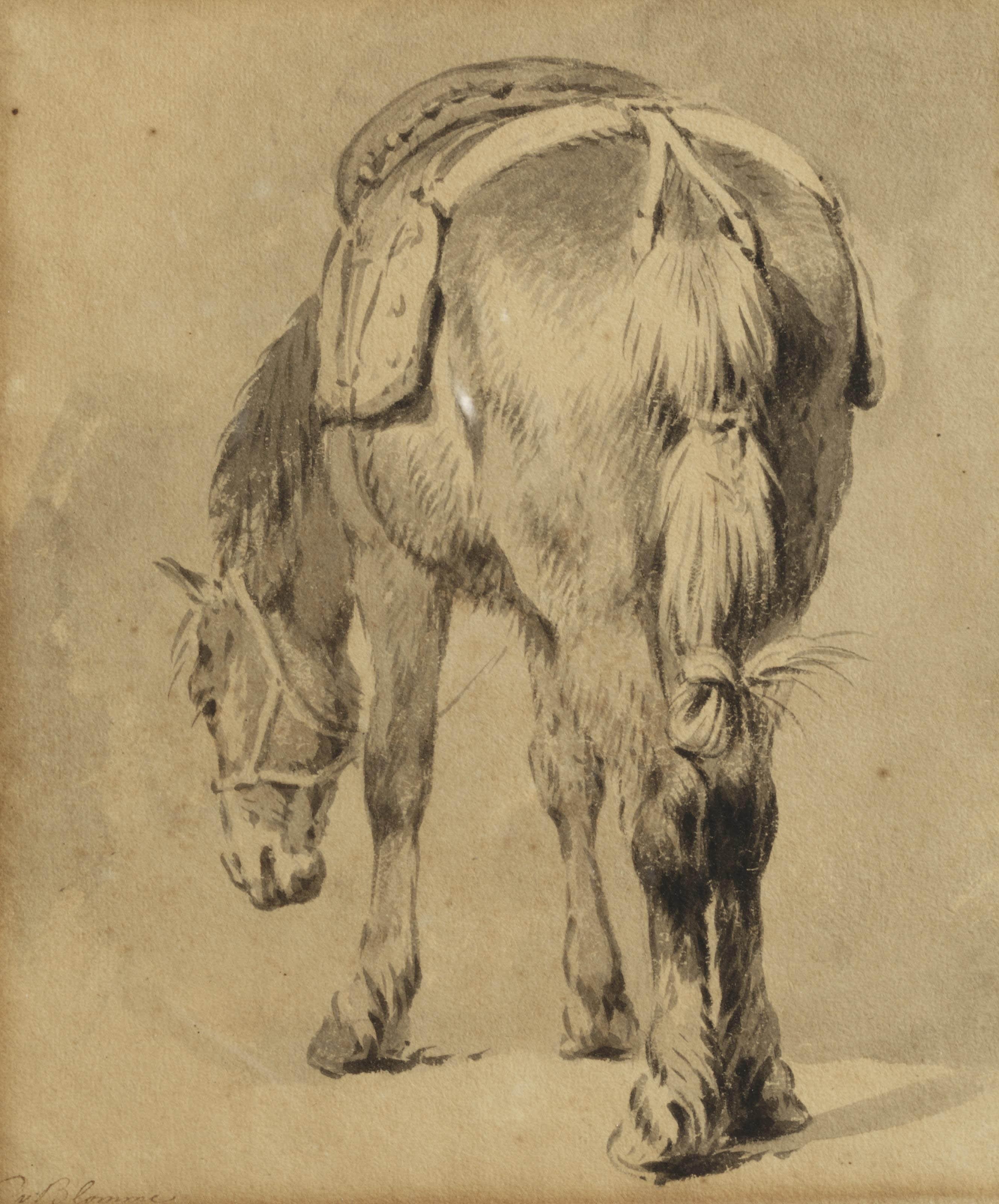 Pieter van Bloemen - Study of a saddled horse