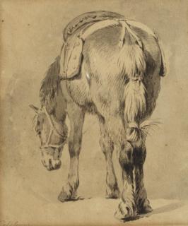 Pieter van Bloemen - Study of a saddled horse