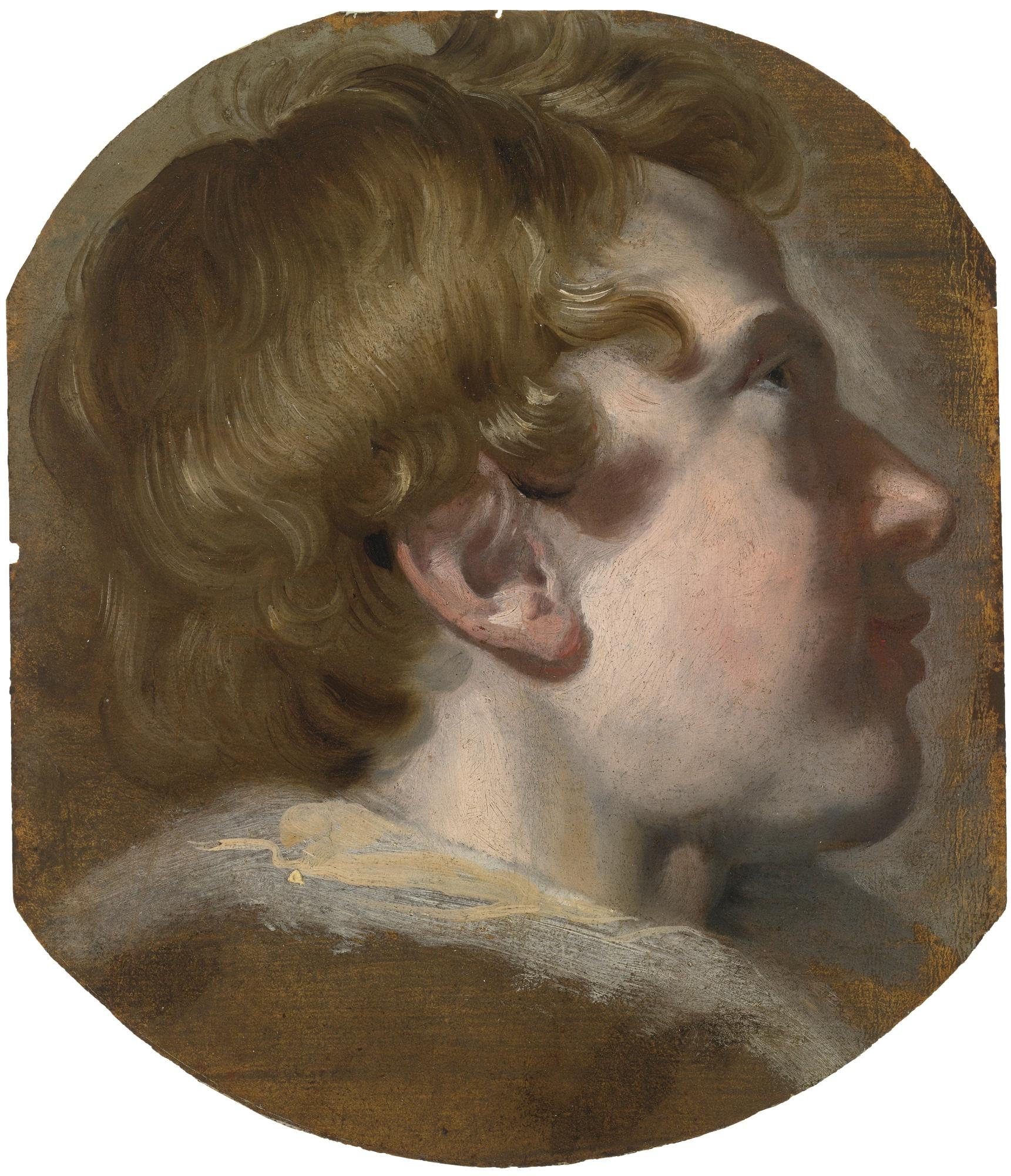 Pieter Van Mol - Study Of A Boy\'S Head