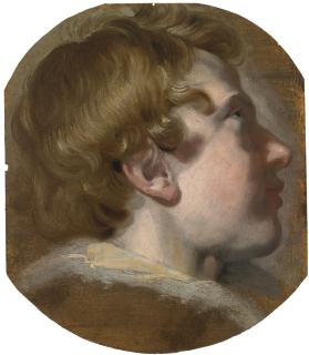 Pieter Van Mol - Study Of A Boy\'S Head