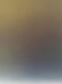 Pieter Vermeersch - Sans titre/ Untitled