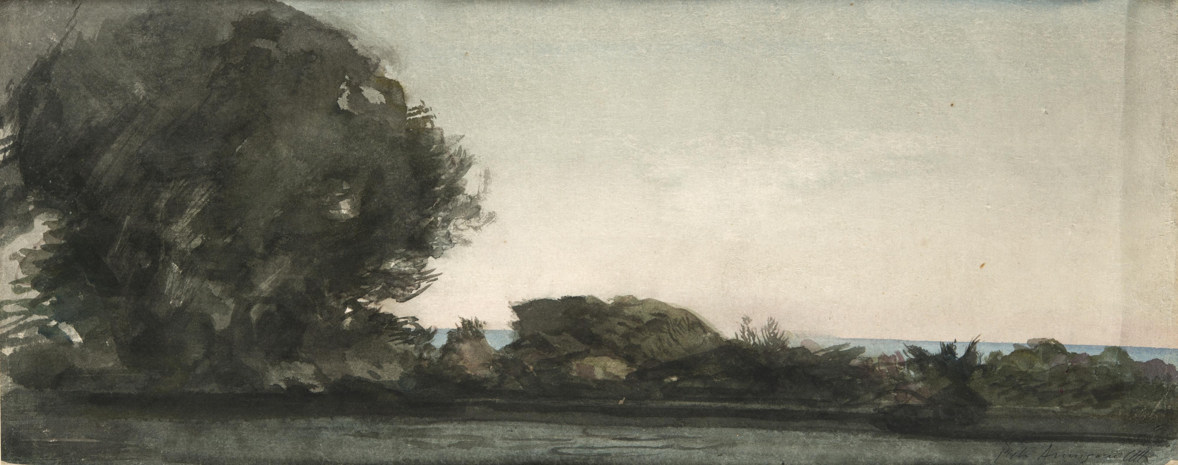 Pietro Annigoni - Macchia mediterranea