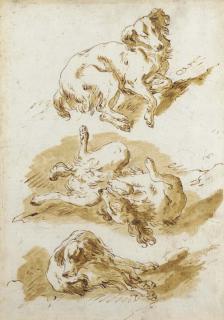 Pietro Antonio Novelli - Three studies of a dog frolicking