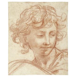 Pietro Berrettini - Study Of The Head Of A Youth