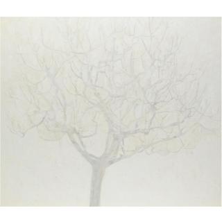 Pietro Capogrosso - Fico