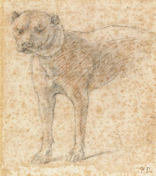 Pietro Dandini - Etude de boxer