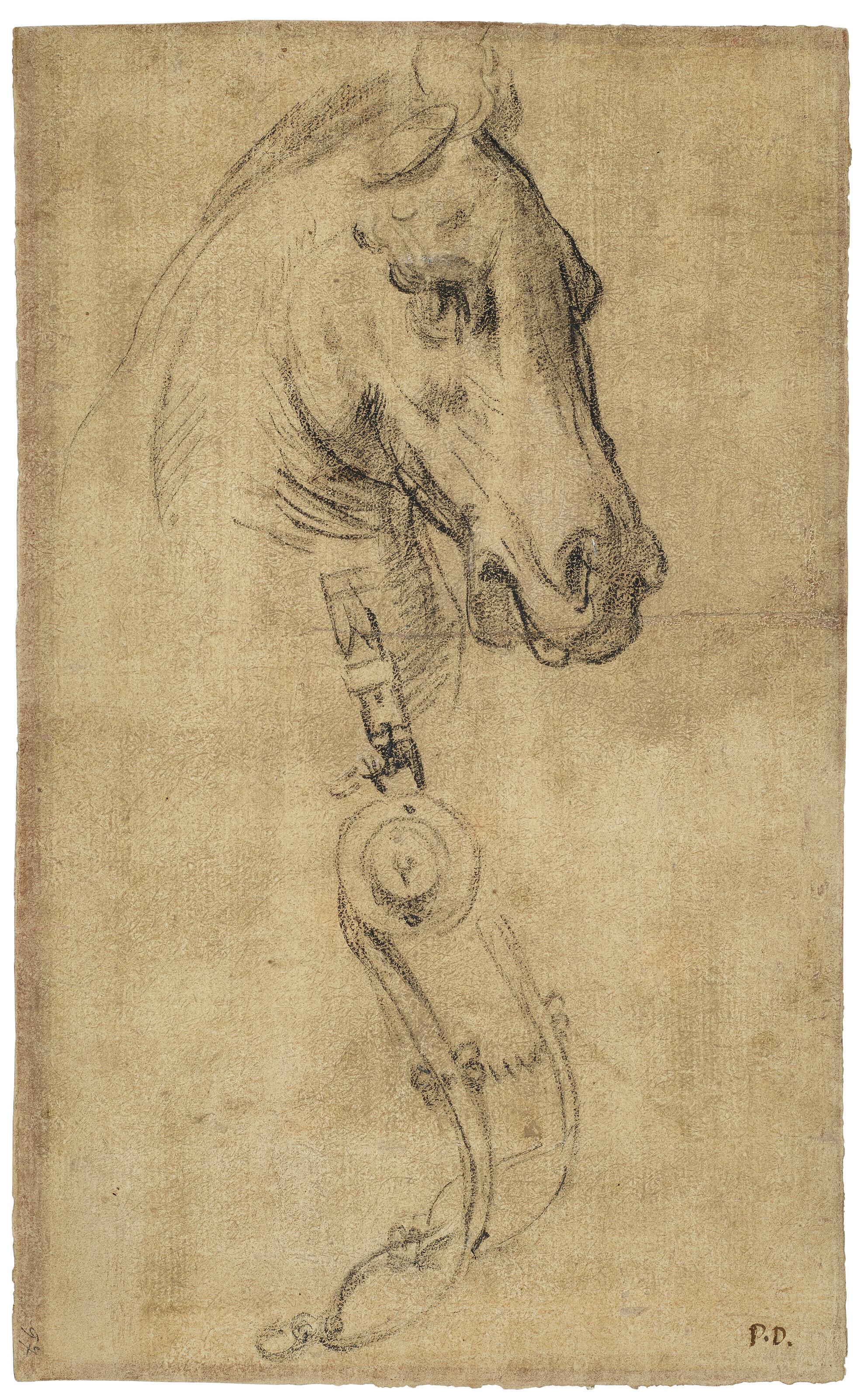 Pietro Dandini - Study of the head of a horse and a stirrups