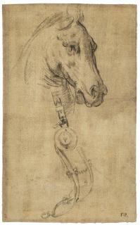 Pietro Dandini - Study of the head of a horse and a stirrups
