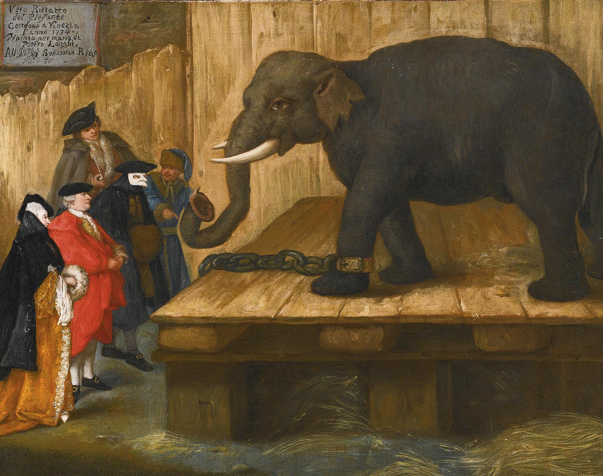 Pietro Longhi - The Elephant