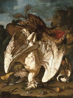 Pietro Navarra - Still life with a spoonbill, a woodcock, and game birds