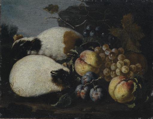 Pietro Navarra - Uva, pesche e prugne con criceti