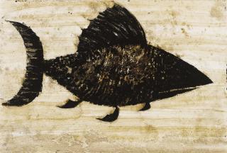 Pino Pascali - Pesce