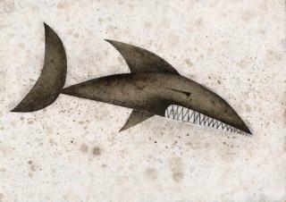 Pino Pascali - Squalo