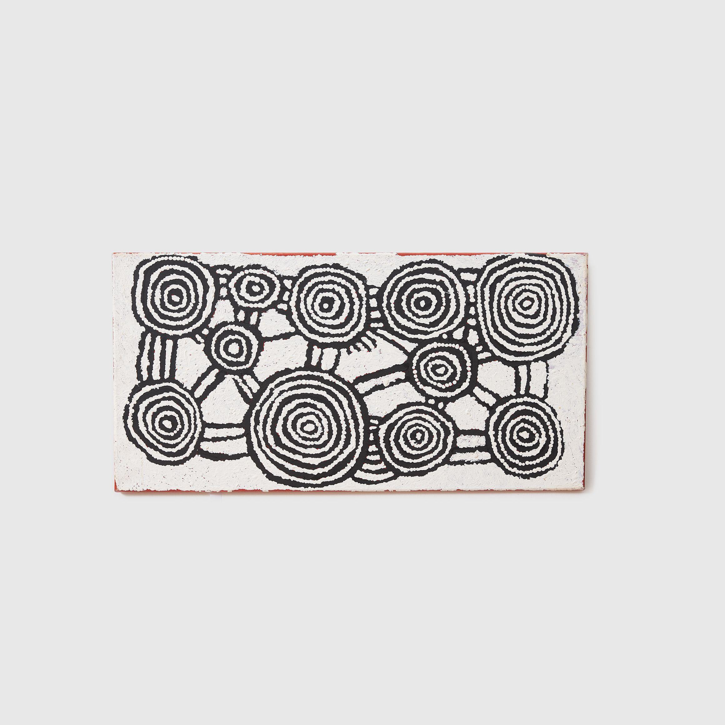 Pinta Pinta Tjapanangka - Untitled (designs associated with the rockhole site of Tjulnga), 1998