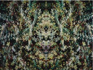 Piotr Uklanski - Untitled (Foliage)