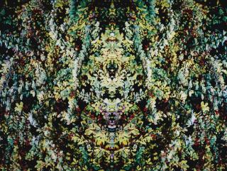 Piotr Uklanski - Untitled (Foliage)