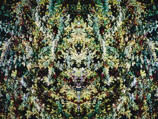 Piotr Uklanski - Untitled (Foliage)