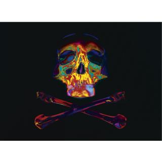 Piotr Uklanski - Untitled (Monsieur François Pinault, Président Du Groupe Artemis)