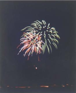 Piotr Uklanski - Untitled (Palmetto Tree)