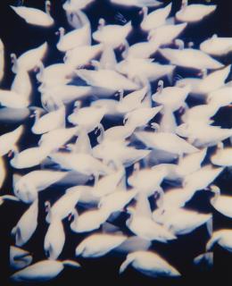 Piotr Uklanski - Untitled (Stockholm)