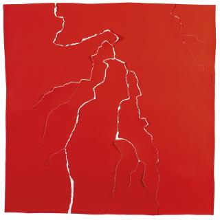 Piotr Uklanski - Untitled (Thunderbolt, Tropical)