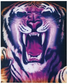 Piotr Uklanski - Untitled (Tiger, Bursting)