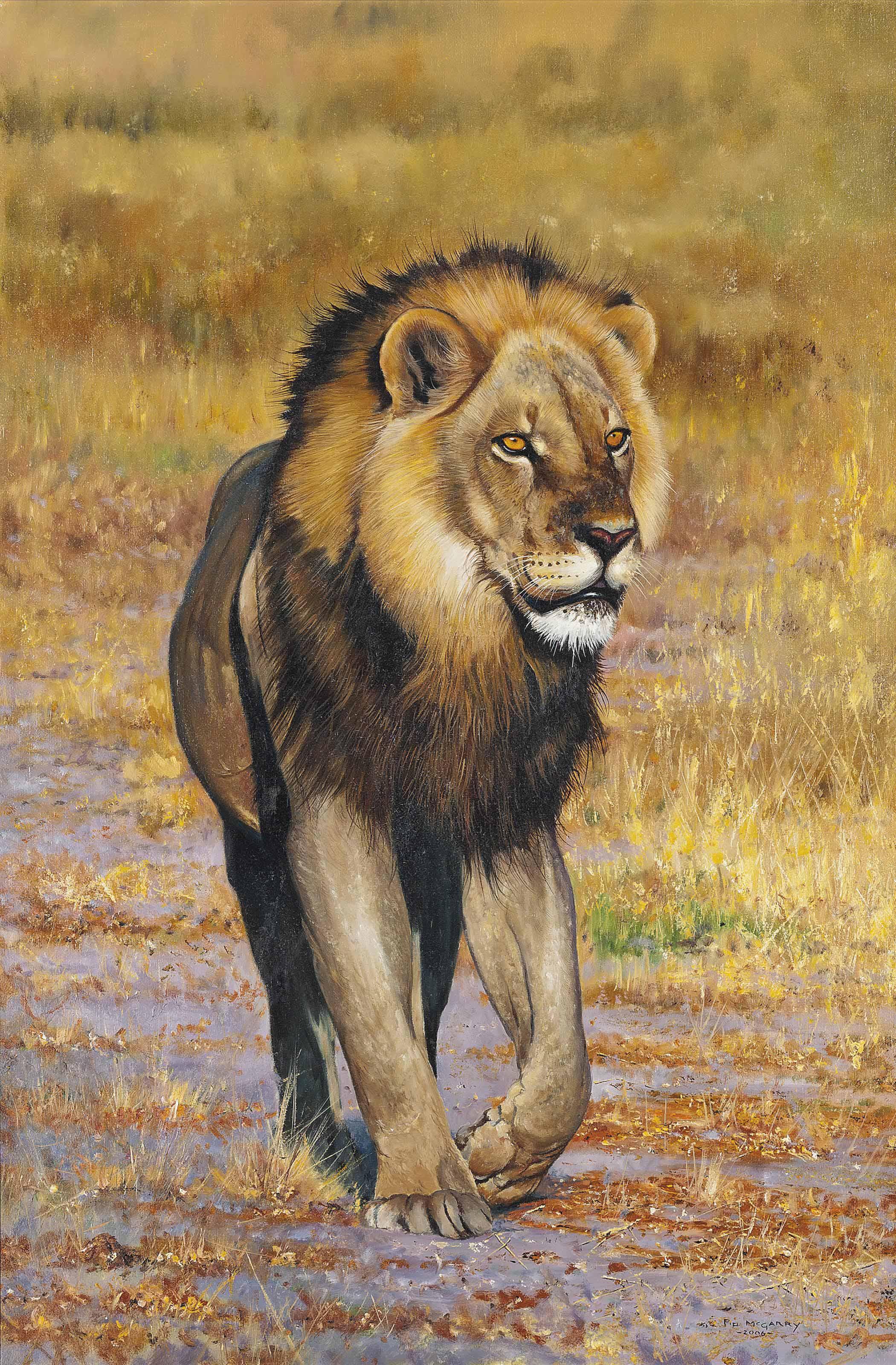 Pip Mcgarry - Cecil The Lion