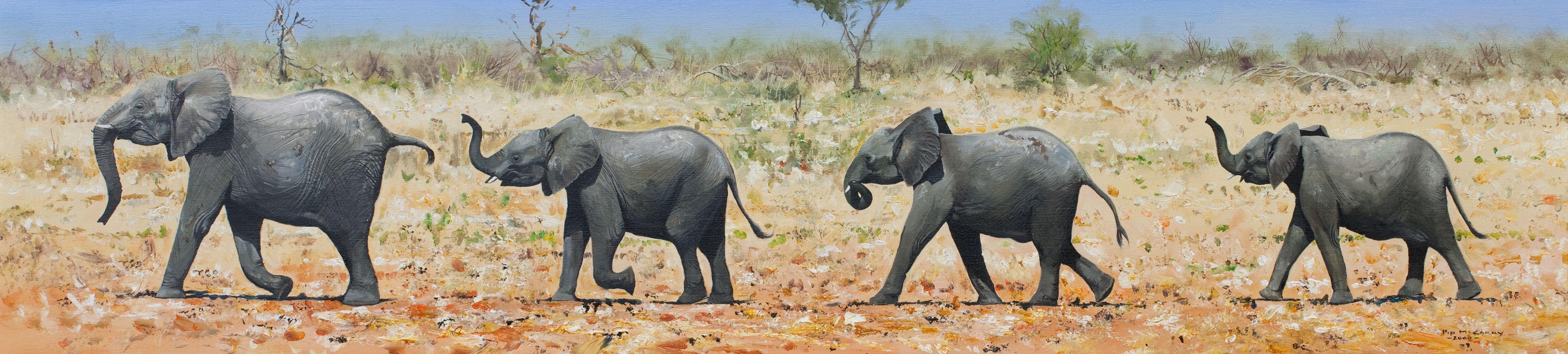 Pip Mcgarry - Elephants