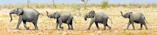 Pip Mcgarry - Four Baby Elephants