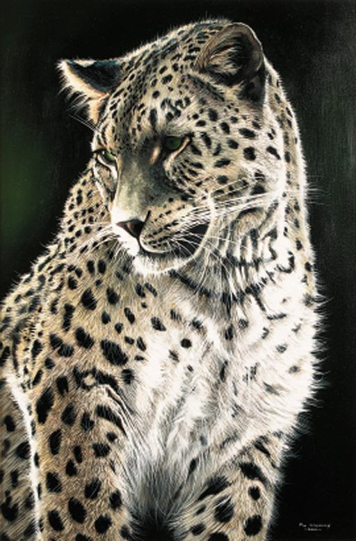 Pip Mcgarry - Persian Leopard