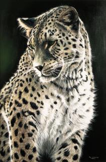 Pip Mcgarry - Persian Leopard