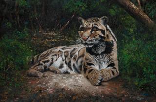Pip Mcgarry - Snow Leopard