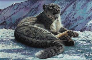Pip Mcgarry - Snow Leopard