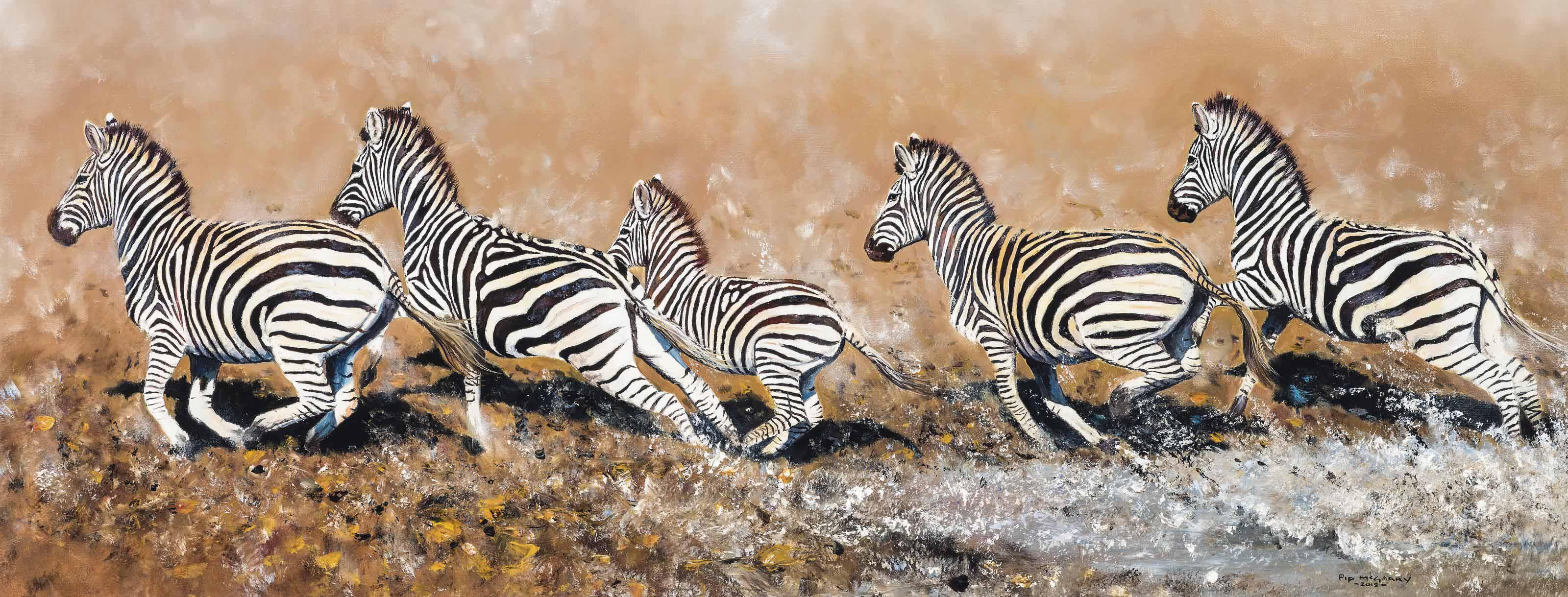 Pip Mcgarry - Zebra crossing