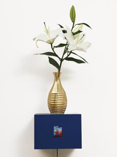 Pipilotti Rist - Liquid Crystal Vase