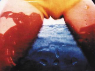 Pipilotti Rist - Pickelporno, 1992