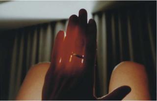 Pipilotti Rist - Sonnenaufgang im Land der untergehenden Sonne