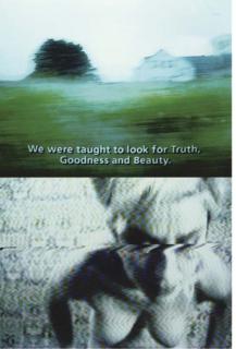 Pippilotti Rist - We were taught