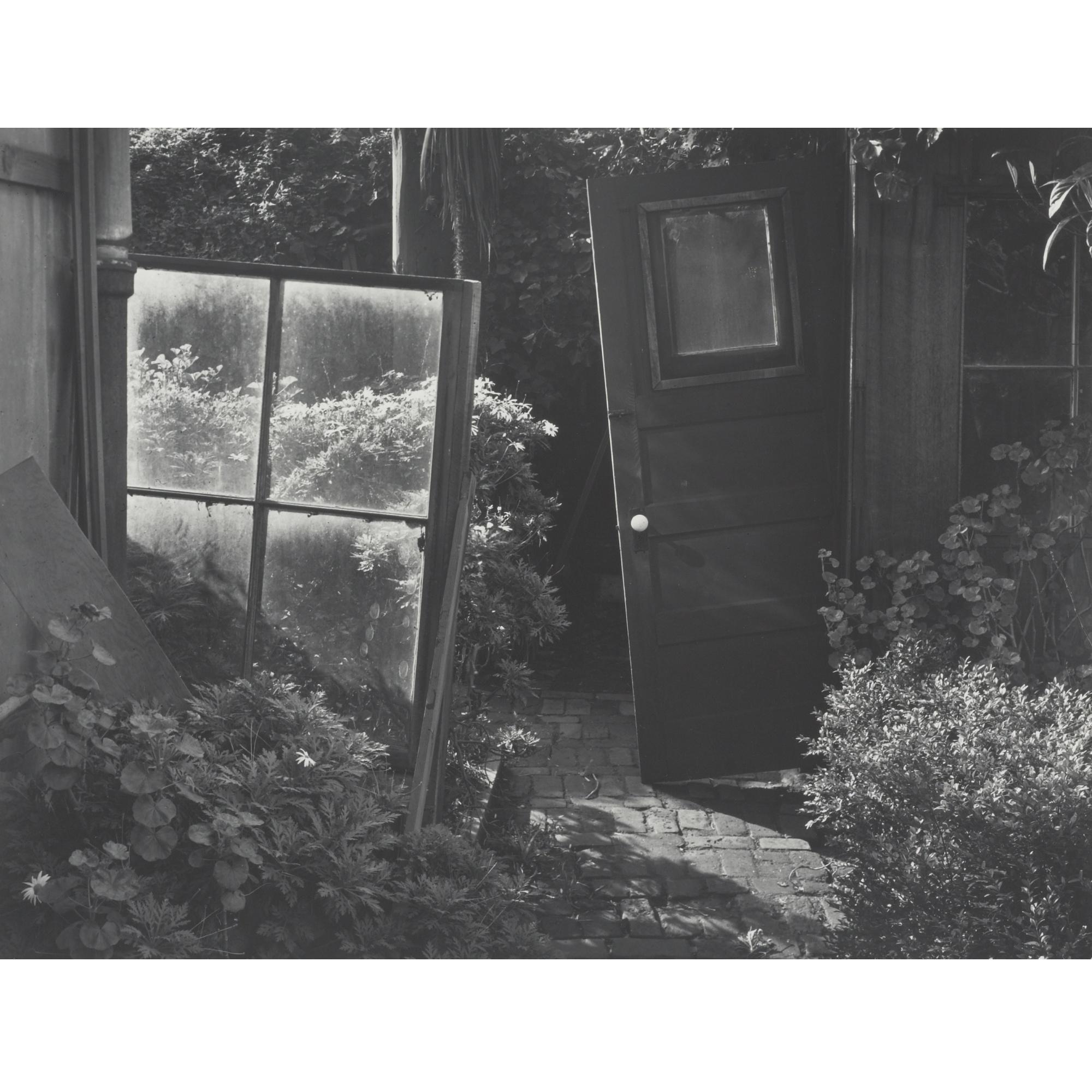 Pirkle Jones - Composition, Back Yard, San Francisco, California (Garden Detail)