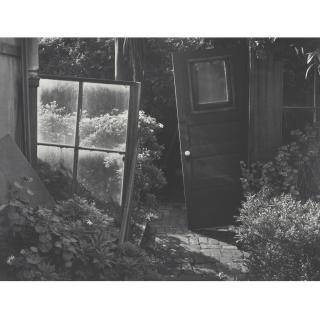 Pirkle Jones - Composition, Back Yard, San Francisco, California (Garden Detail)