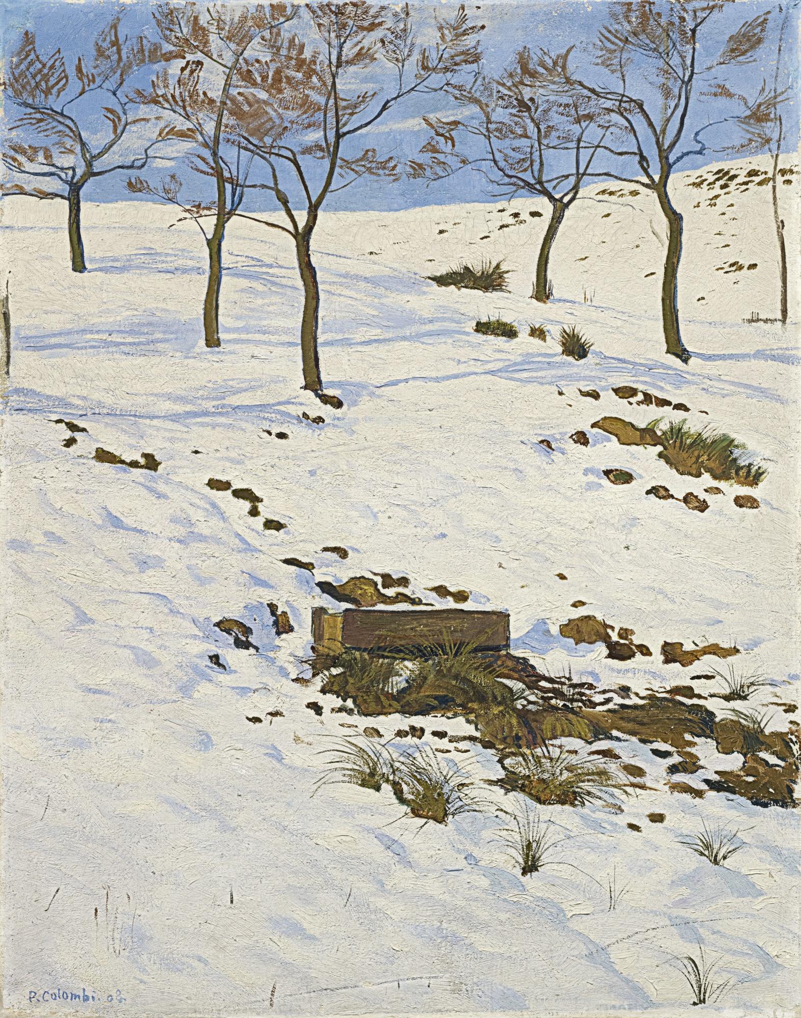 Plinio Colombi - Winterlandschaft, 1908