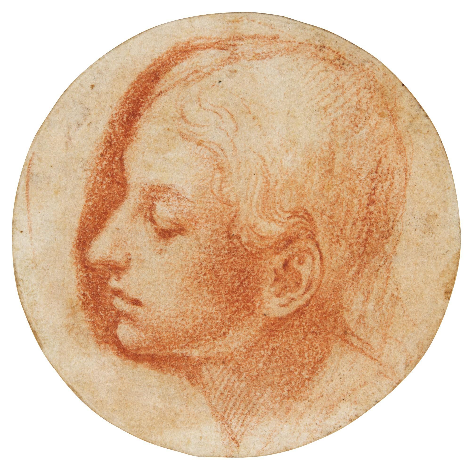 Polidoro Caldara - Head Of A Young Man In Profile